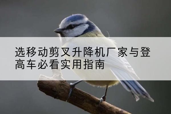 台江电动升降机厂家-选移动剪叉升降机厂家与登高车必看实用指南
