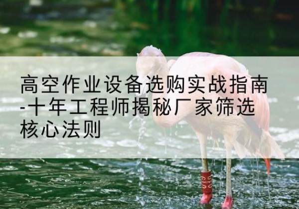 台江剪叉式升降机厂家-高空作业设备选购实战指南-十年工程师揭秘厂家筛选核心法则
